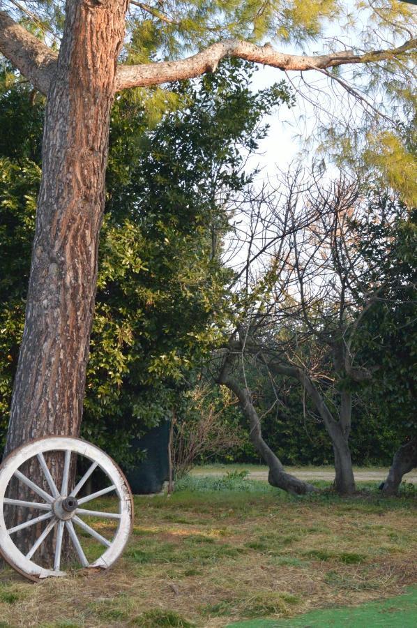 Zi Nene Villa Tetlameya Loreto Esterno foto